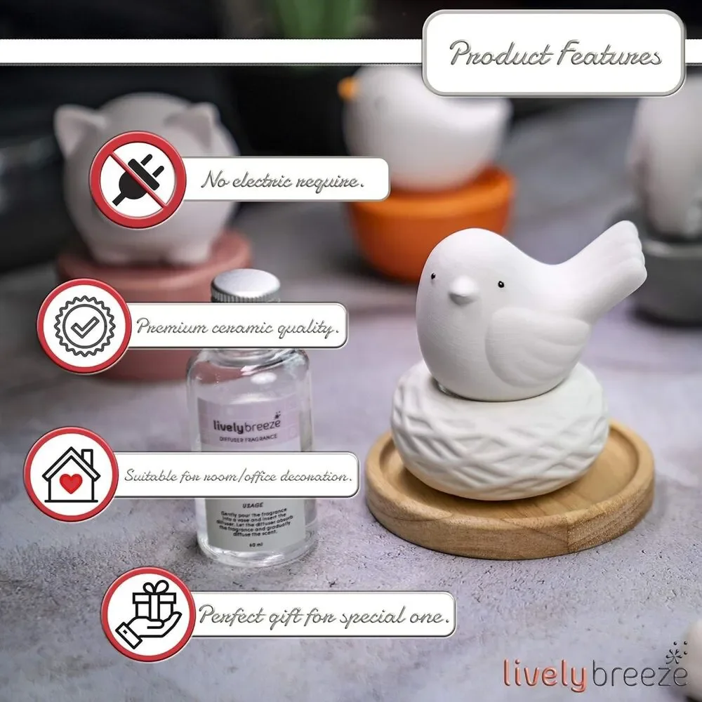 Non-Electric Ceramic Diffuser for Essential Oils & Aromatherapy Fragrance, White